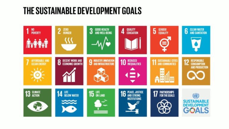 Introducing the United Nations Sustainable Development Goals (UN SDGs)